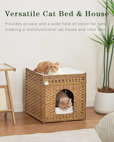 Cat Beds for Indoor Cats Extra Large Double Cat Cave (Natural / Rectangle-XL)