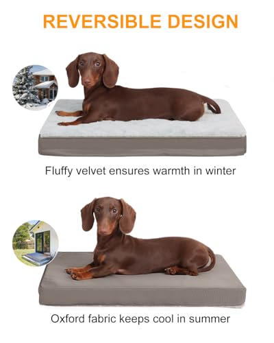 Orthopedic Dog Bed for Small Dogs with Waterproof Lining (Light Grey / 21.0"L x 13.0"W x 2.5"Th)