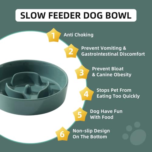 Ceramic Slow Feeder Dog Bowls (Dark Green)