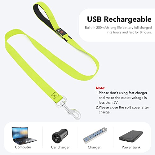 LED Light Up Dog Leash (Green / 4FT)