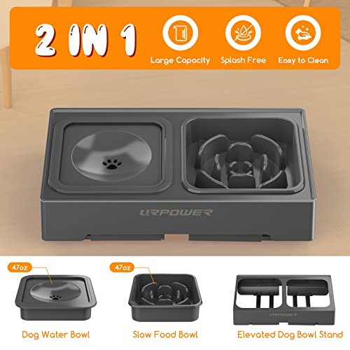 2-in-1 Elevated Slow Feeder Dog Bowls with No-Spill Water Bowl (Grey / Slow Feeder)