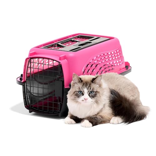 Two Door Plastic Pet Kennel (Two-door / 19.4"L x 10.0"W x 12.8"H / PINK)