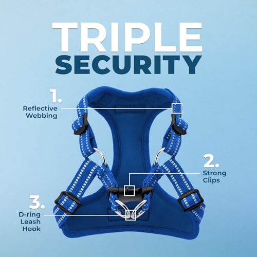 Voyager Step in Flex Adjustable Dog Harness (Harness (Royal Blue) / M)