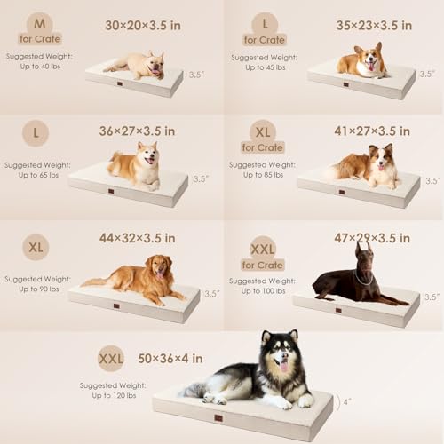 Orthopedic Dog Bed Large with Removable Washable Cover (35*23*3.5 inches / Camel)