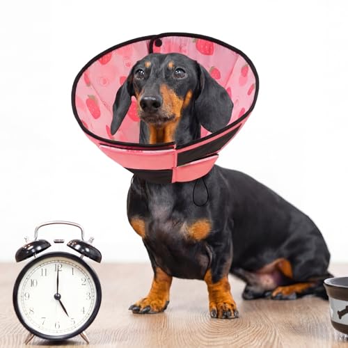 XL Dog Cone Soft Dog Cones for Large Dogs After Surgery (XL / Strawberry)