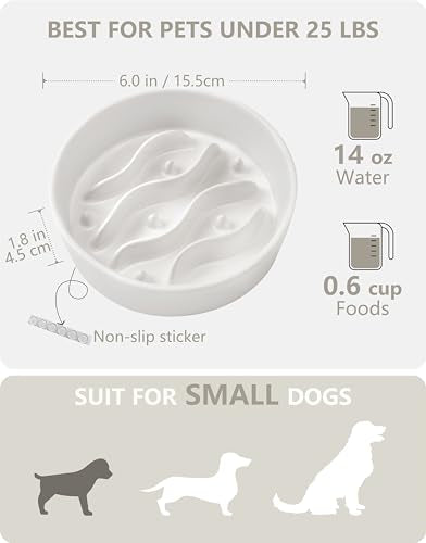Ceramic Slow Feeder Dog Bowls for Small Dogs (White / 6 Inches)