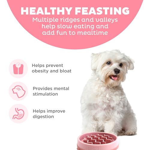Fun Feeder Slo Bowl Dog Slow Feeder (Pink / Small)