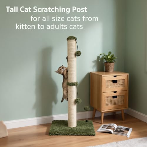 34“ Tall Cat Scratching Post Premium Basics Kitten Scratcher Sisal Scratch Posts Trees with Hanging Ball for Indoor Cats (34 inches for Adult Cats / Cactus Green)