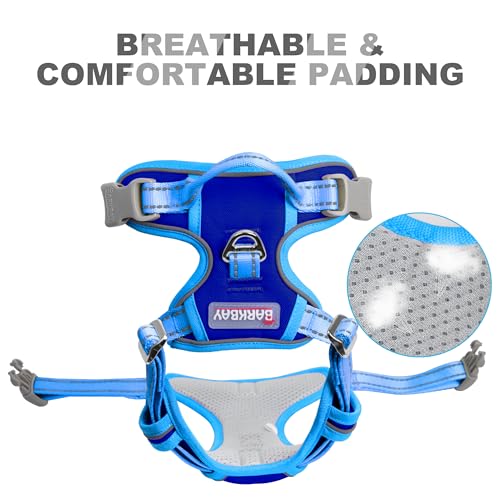Dog Harness No Pull for Small Sized Dog Front Back Clips (Small(Chest:19.5-26") / Sapphire Blue & Blue)