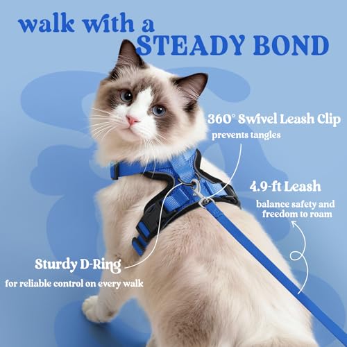 Cat Harness and Leash Set (S / Navy Blue)