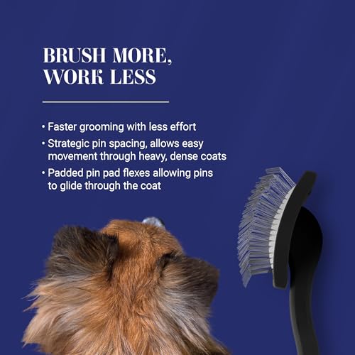 Big K Dog Slicker Brush for Dogs (Medium / Black)