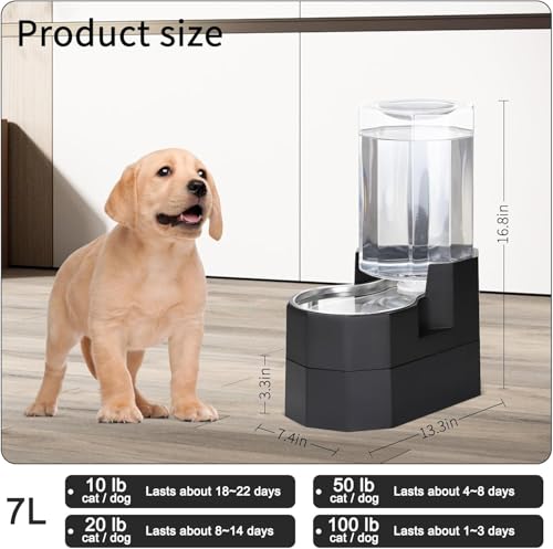 7L Raised Dog Water Dispenser (Black / 7L Raised)