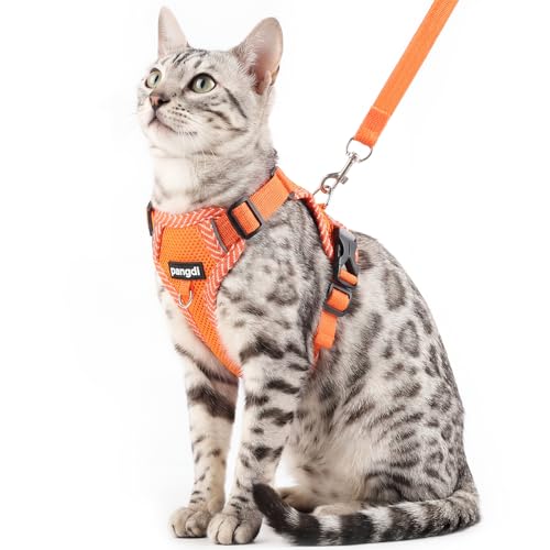 Cat Harness and Leash Set (Orange / Small)