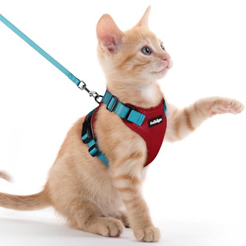 Cat Harness and Leash Set (Xxs / Red & Teal)