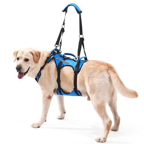 Dog Lift Harness for Medium Dogs (Blue / Medium)