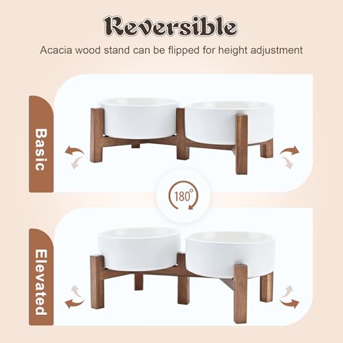 Acacia Wood Stand Dog Bowl Set Raised (28.74 Oz / White)