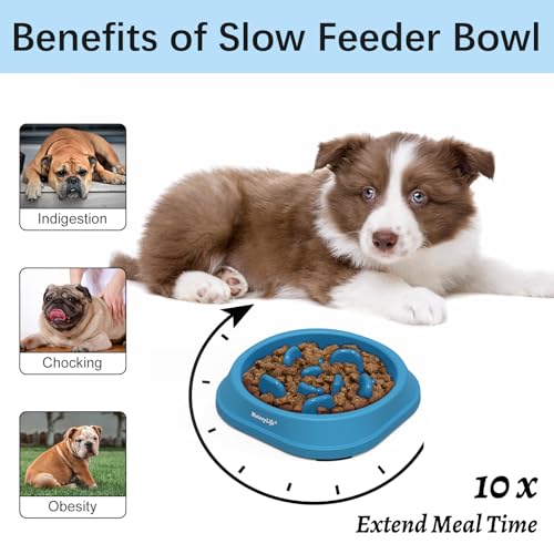 2 Pack Slow Feeder Dog Bowls (A-LightBlue&DarkBlue / Small)