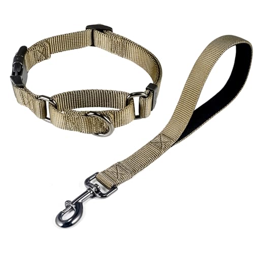 Nylon 12 Inches Dog Short Leash with Anti (12" Leash and Martingale Collar Combo / Military Green)