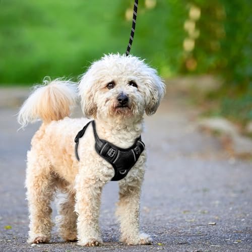 Dog Harness for Small Sized Dog No Pull Dog Vest ID Tag Pocket (Black / X-Small)