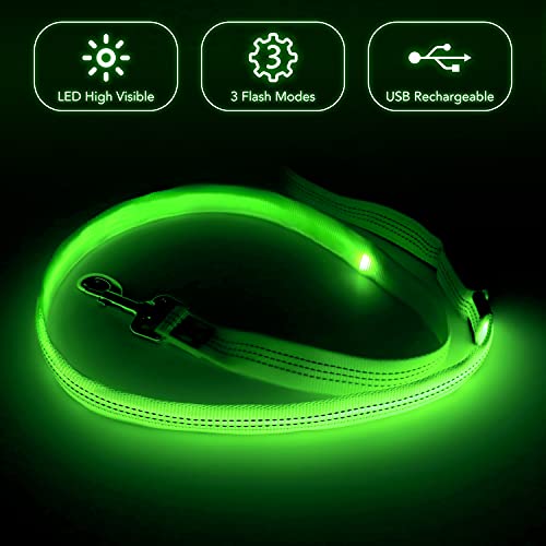 LED Dog Leash (GreenⅢ)
