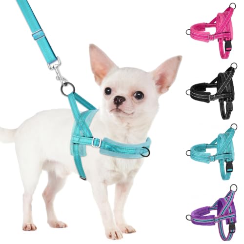 No Pull Small Dog Harness and Leash Set with Front Clip (X-Small / Teal)