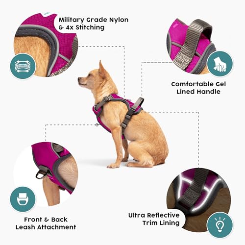 Embark No Pull Dog Harness (L / Pink)
