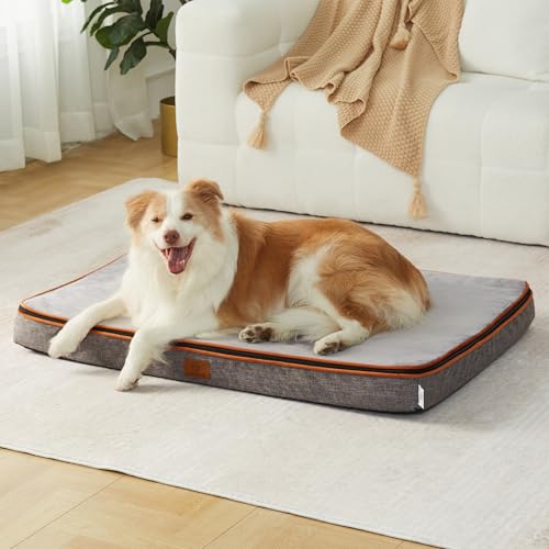 Memory Foam XL Dog Bed (41.0"L x 27.0"W x 4.0"Th / Light Grey)