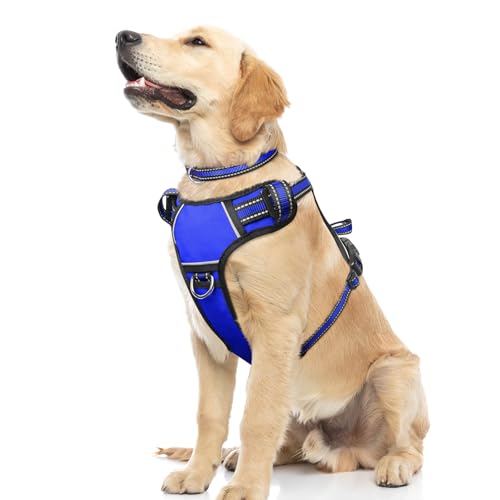 Dog Harness No Pull (Large / Blue)