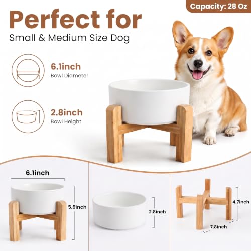 Elevated Ceramic Dog Bowl with Bamboo Stand (White / 3.6Cup)