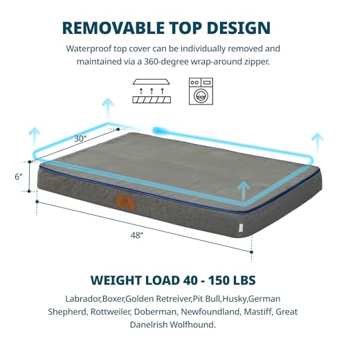 Orthopedic Memory Foam XXL Dog Bed (48.0"L x 30.0"W x 6.0"Th / Dark Grey)