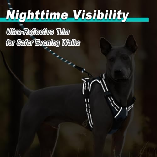 Dog Harness for Medium Sized Dog No Pull 2 Leash Clips Dog Vest (Medium / Navy)