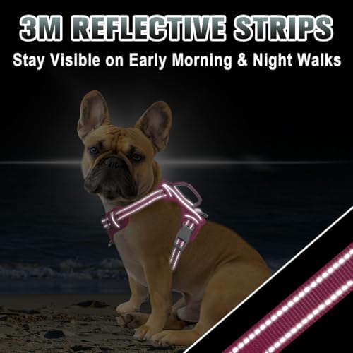 Dog Harness for Small Sized Dog No Pull Dog Vest ID Tag Pocket (Pink / Small)