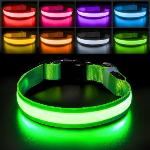 Light up Dog Collar (Green / L(19 inch-23.6 inch))