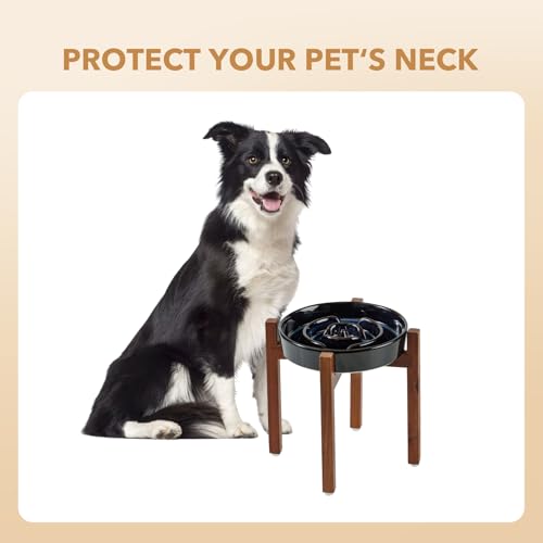 Raised Slow Feeder Dog Bowls (1 x Starry Sky + Stand - A / L- 8.2inch / 1.6 Cups)