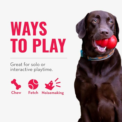 Wubba Tug of War and Fetch Dog Toy (X-Large (Pack of 1))