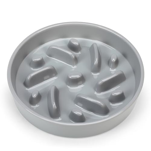 Ceramic Slow Feeder Dog Bowl (Maze - Grey / 2 Cups)