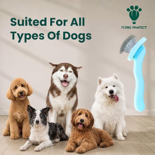 Pet Slicker Brush With Soft Massage Grooming Stainless Steel Pins (Baby Blue / Curved Small)