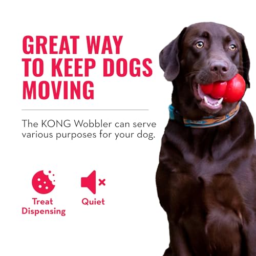 Wobbler Interactive Treat (Small (Pack of 1))
