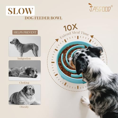 Slow Feeder Dogs Bowl for Large Medium Dogs (Large / B-Sky Blue)