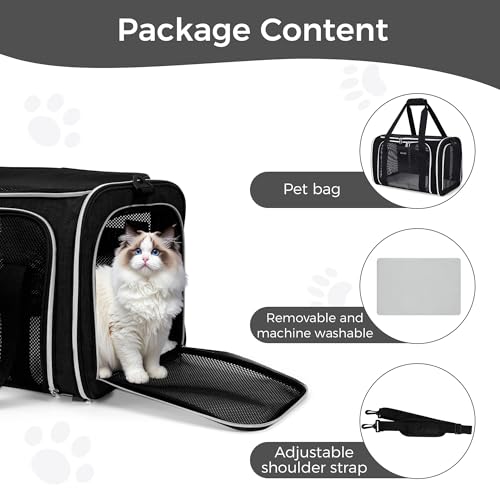 Pet Travel Carrier (Black / 17.0"L x 11.0"W x 12.0"H)