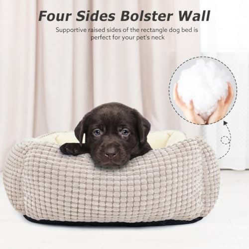 Dog Beds for Medium Dogs Washable (Ivory Beige / M(25’’x 21’’x 8’’))