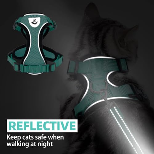 Cat Harness and Leash Set Escape Proof Reflective Cat Walking Harness Adjustable Soft Breathable Mesh Vest for Small Pets (M (NECK 11"-13.7", CHEST 16"-20") / Aquamarine)