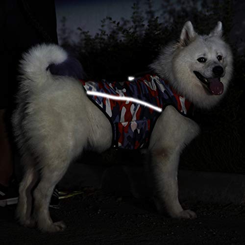 Dog Anxiety Jacket (Small)
