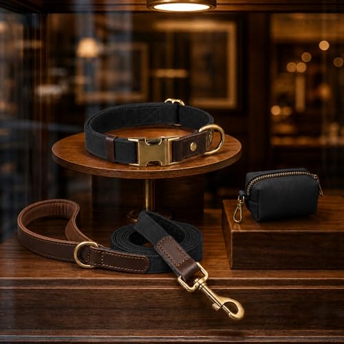 PU Leather Dog Leash for Medium Dogs (Black / 3/4''x 5FT)