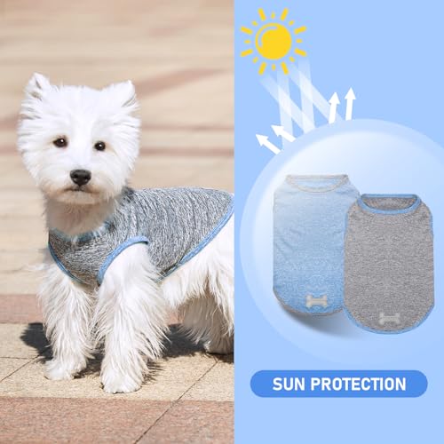 2Pack Dog Shirt for Small Dogs Sun Protection Tank Top for Summer (X-Large (18-30lbs) / 3# 2Pack (Light Blue+Grey))