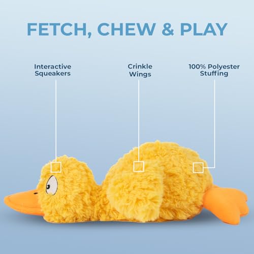 Squeaky Plush Dog Toy (Ducky Doodle (Yellow) / Small)