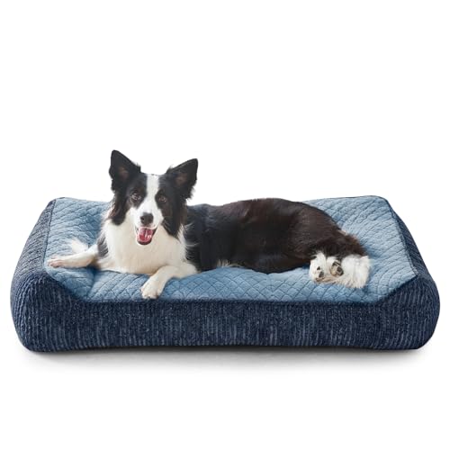 XL Orthopedic Dog Beds Large Sized Dog (L Plus(38"L x 28"W x 8"Th) / Blue)