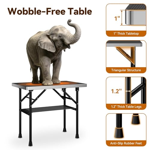 Dog Grooming Table with Arm