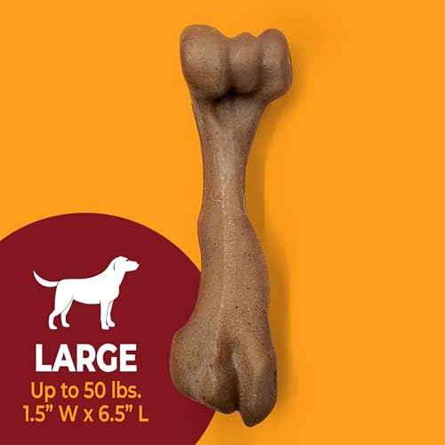 Strong Chew Femur Bone Dog Toy (Femur Bone / Large)