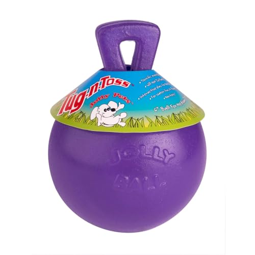 Tug-n-Toss Heavy Duty Dog Toy Ball with Handle, 4.5 Inches/Small, Purple (Purple / Small (4.5 in))